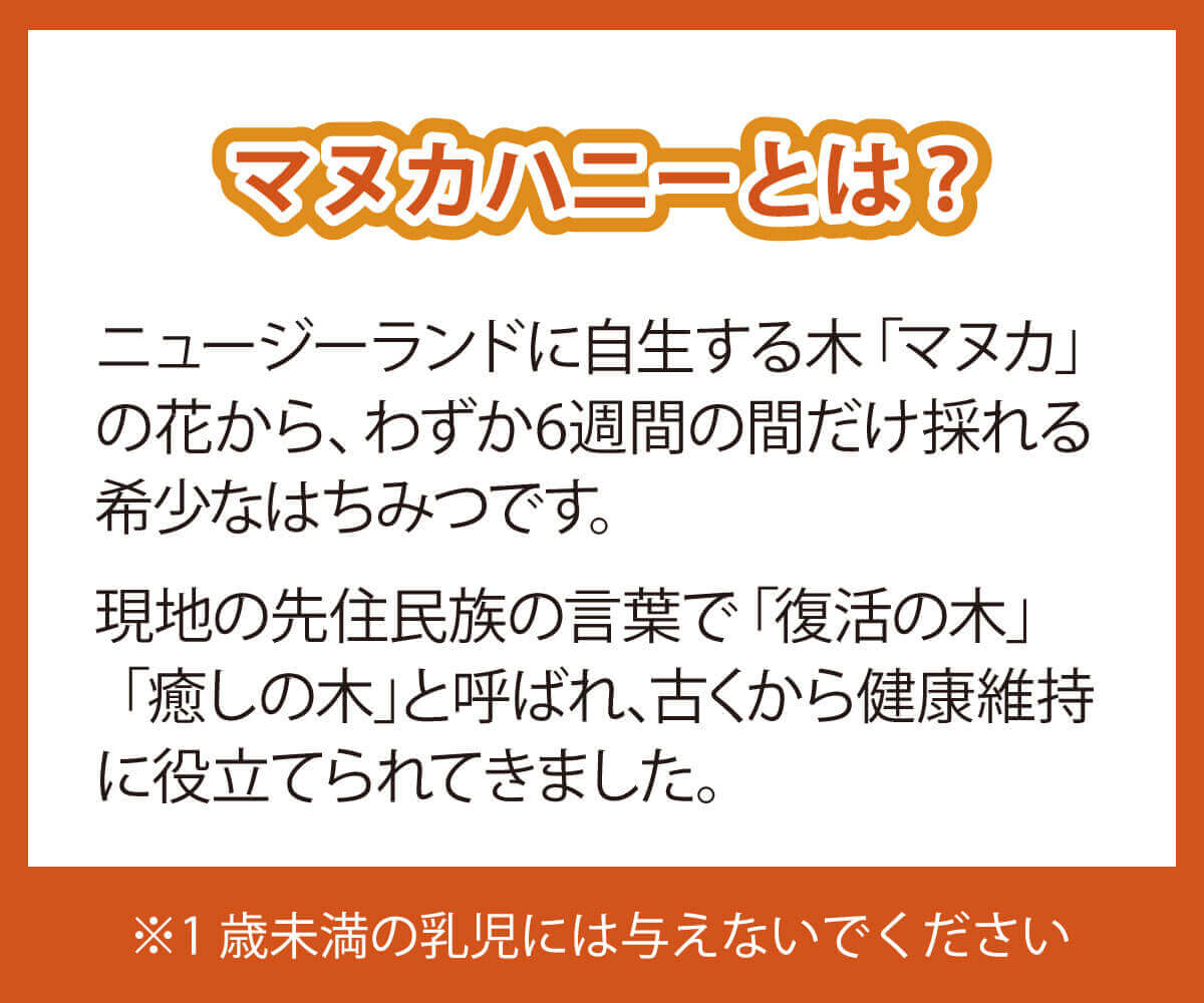 【送料込】やさしい黒糖のプチギフト／手提げ袋付き！【ポスト投函】