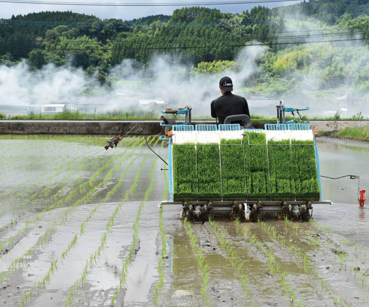 松井農園のお米(無農薬米) 5kg ≪令和6年産／宮崎県綾町産≫