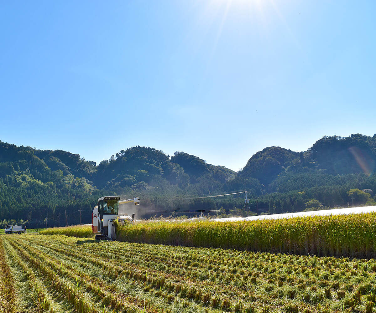 松井農園のお米(無農薬米) 5kg ≪令和6年産／宮崎県綾町産≫