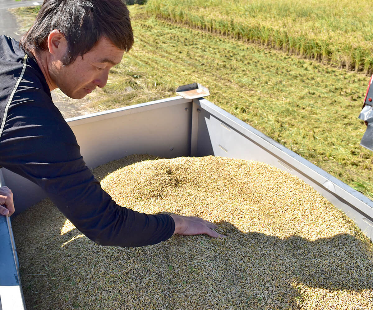 松井農園のお米(無農薬米) 5kg ≪令和6年産／宮崎県綾町産≫