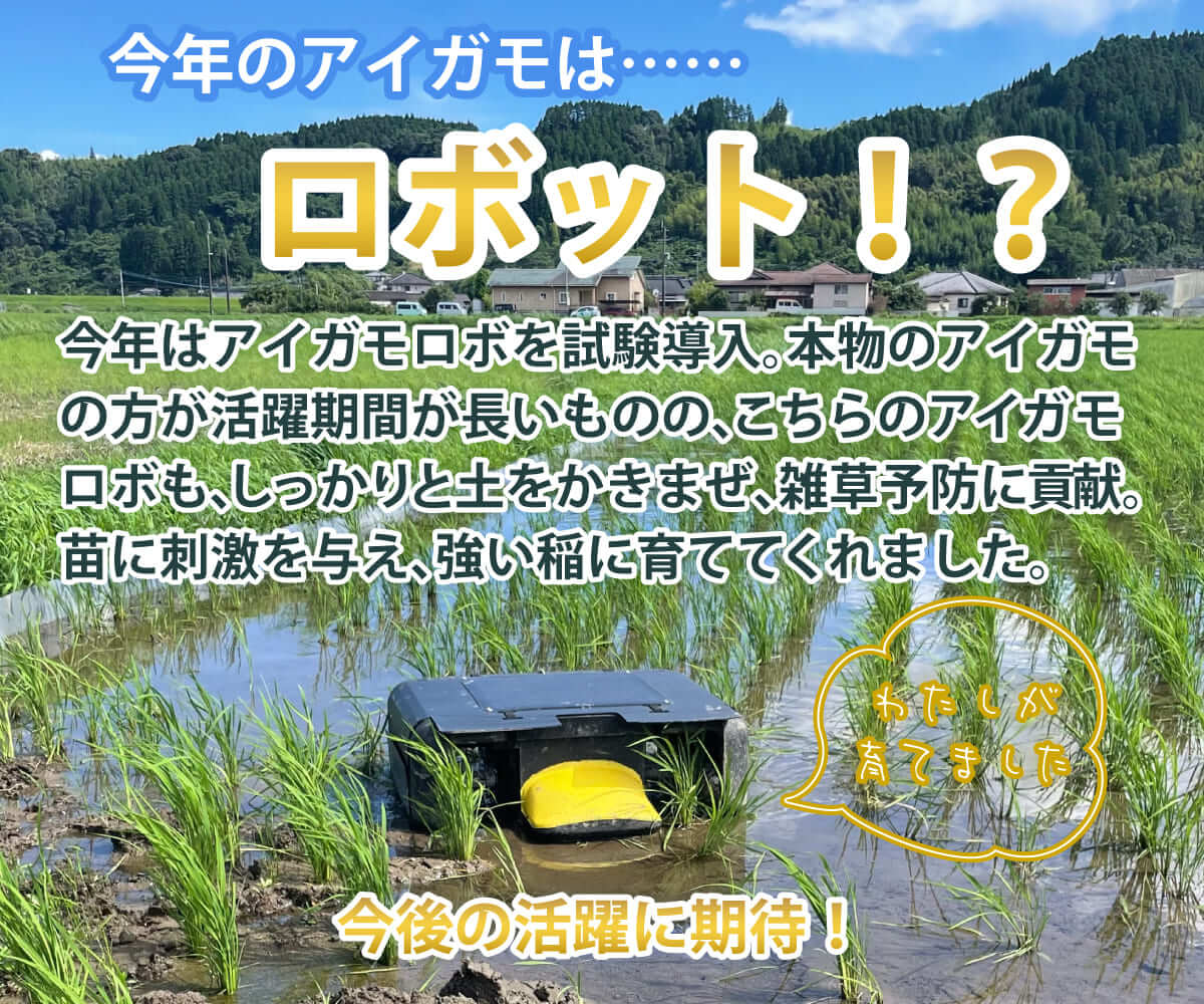 松井農園のお米(無農薬米) 5kg ≪令和6年産／宮崎県綾町産≫